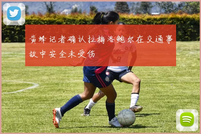 黄蜂记者确认拉梅洛鲍尔在交通事故中安全未受伤