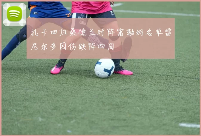 扎卡回归桑德兰对阵富勒姆名单雷尼尔多因伤缺阵四周